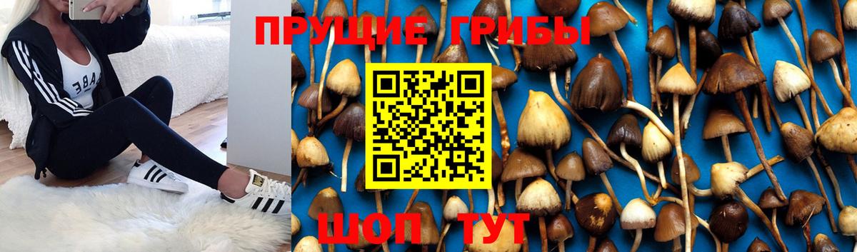 Псилоцибиновые грибы MAGIC MUSHROOMS  Галлюциногенные грибы ЛСД  Шелехов  Вход с VPN 